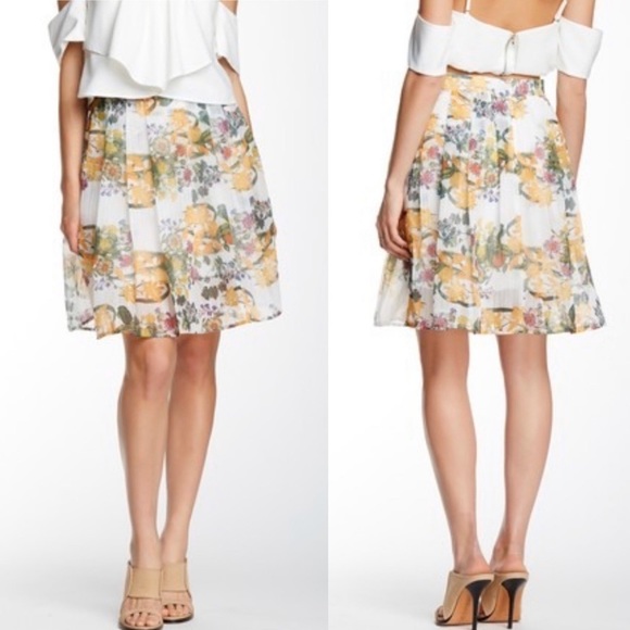 Jealous Tomato Dresses & Skirts - Jealous Tomato Cream Floral Pleated Full Skirt S